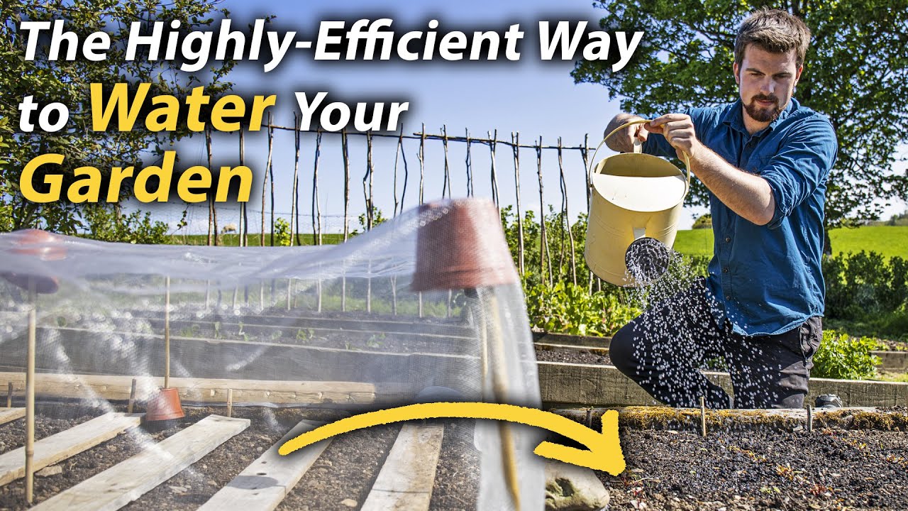 Watering Process Simple Guide to Watering | Highly-Effective Watering Methods for the ...